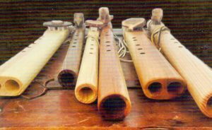 Flötenbau (1)